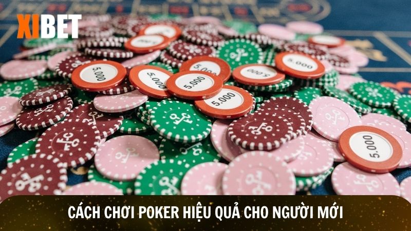 Cách chơi poker hiệu quả dễ dàng áp dụng cho người mới
