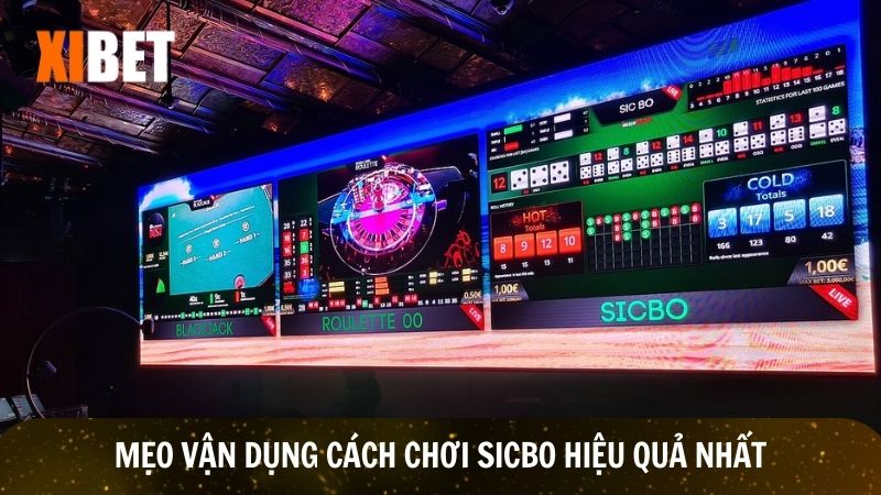 Vận dụng cách chơi sicbo hiệu quả nhân đôi lợi nhuận