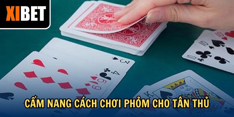 Cẩm nang cách chơi phỏm cho tân thủ