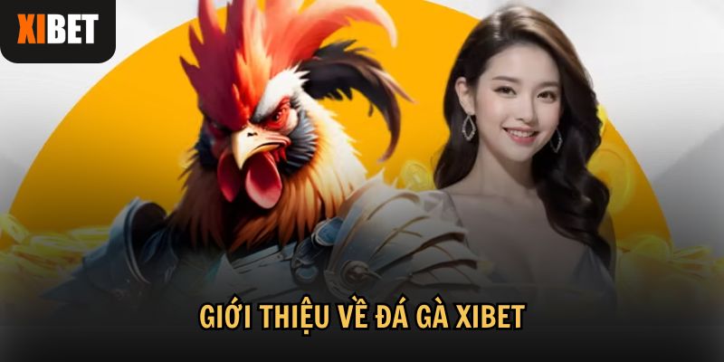 Đá gà tại Xibet được nâng cấp thành một môn thể thao trực tuyến đầy sức hút