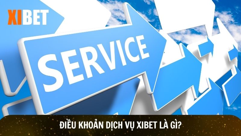 Vai trò của điều khoản dịch vụ Xibet