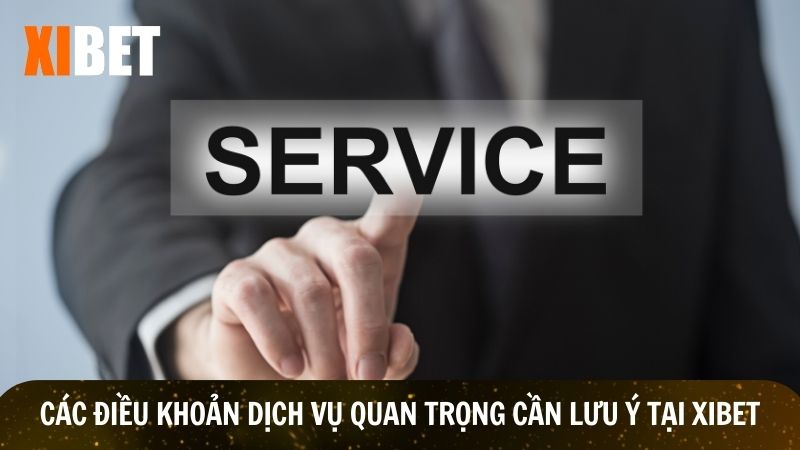 Chi tiết các điều khoản dịch vụ Xibet