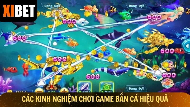 Các kinh nghiệm chơi game bắn cá đơn giản, hiệu quả