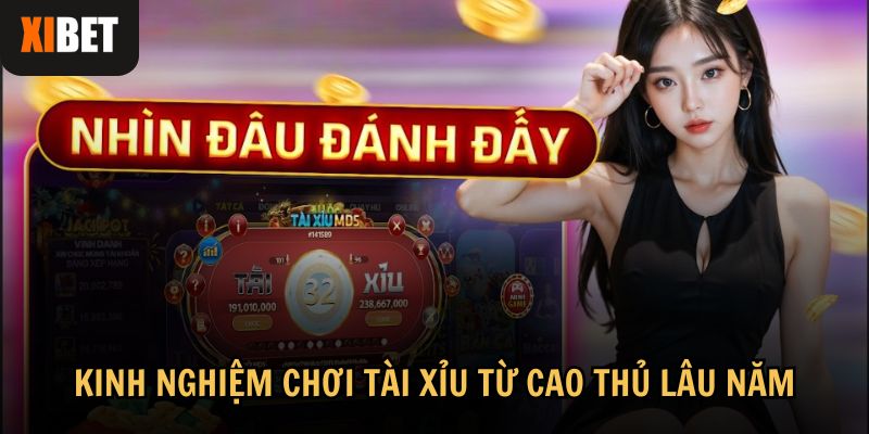 Kinh nghiệm chơi tài xỉu từ cao thủ lâu năm