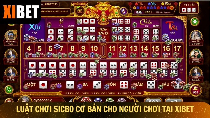 Luật chơi Sicbo cơ bản cho người chơi tại Xibet