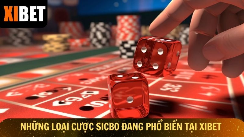 Những loại cược Sicbo đang phổ biến tại Xibet