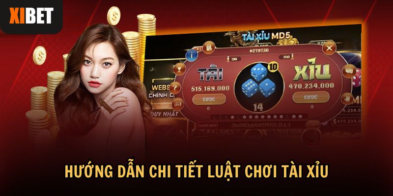 Hướng dẫn chi tiết về luật chơi Tài Xỉu