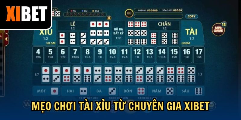 Mẹo chơi tài xỉu từ chuyên gia Xibet