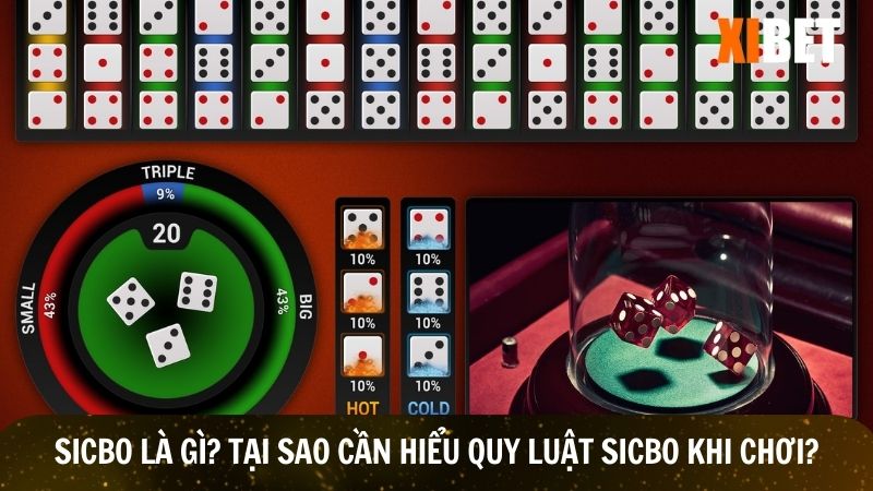Hiểu quy luật sicbo khi chơi rất quan trọng