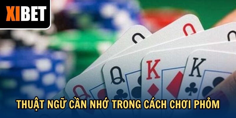 Thuật ngữ cần nhớ trong cách chơi phỏm