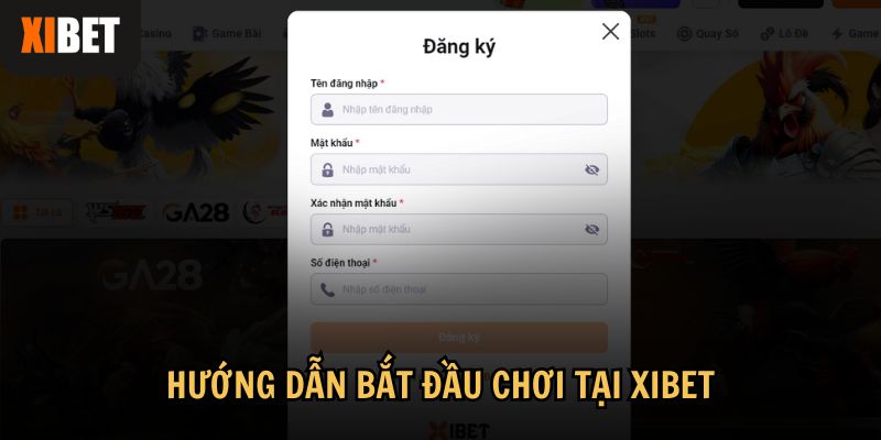 Bắt đầu chơi tại Xibet rất đơn giản, chỉ với vài bước cơ bản