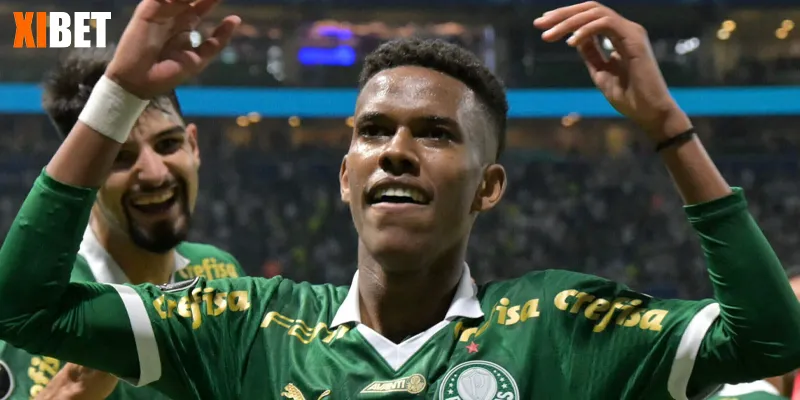 Nhận định Palmeiras ngày 05/07/2025